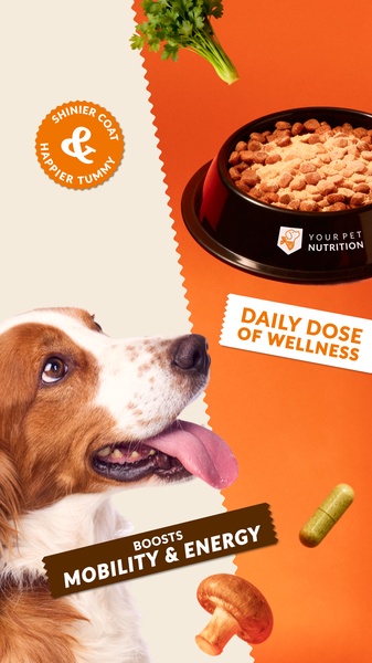 A split-screen vertical creative showcasing natural ingredients alongside a happy, energetic dog to communicate health benefits.